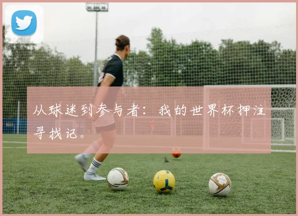 从球迷到参与者：我的世界杯押注寻找记。
