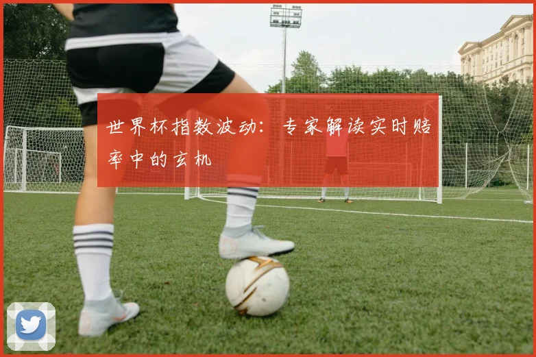 世界杯指数波动：专家解读实时赔率中的玄机